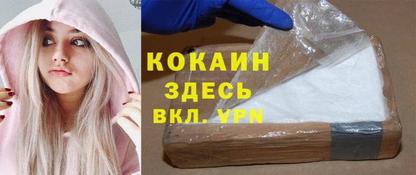 стаф Алексин
