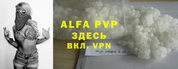 сатива Алзамай