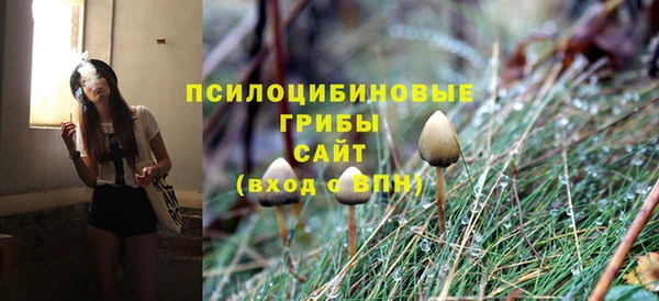 ГАЛЛЮЦИНОГЕННЫЕ ГРИБЫ Алексеевка