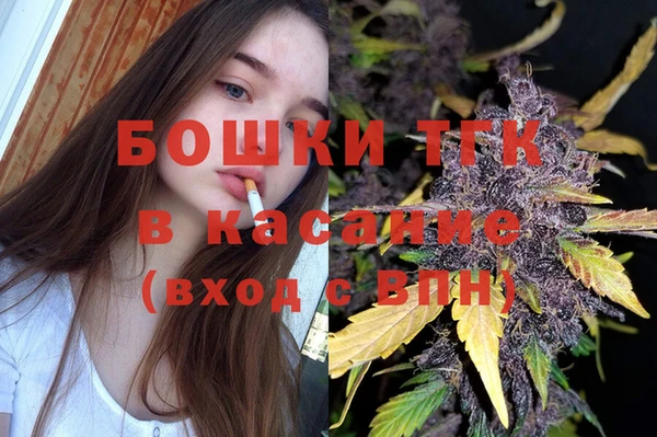 стаф Алексин