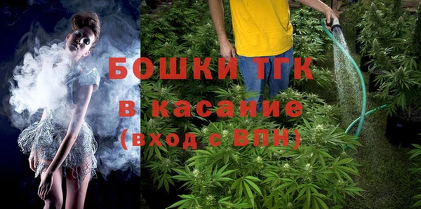 ГАЛЛЮЦИНОГЕННЫЕ ГРИБЫ Алексеевка
