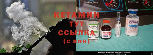 стаф Алексин