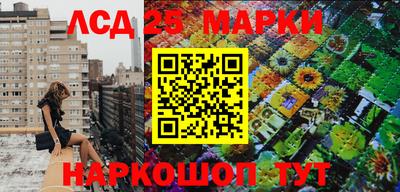 молекула духа Краснознаменск