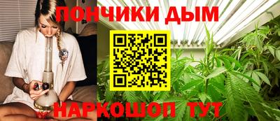 молекула духа Коммунар