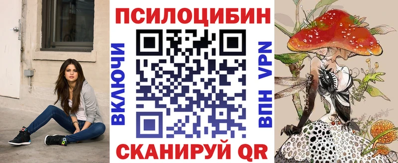 закладки  Родники  Галлюциногенные грибы мицелий 