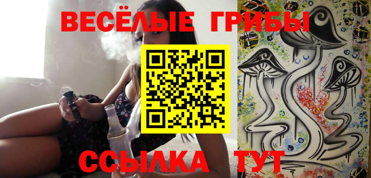 Галлюциногенные грибы ЛСД Родники